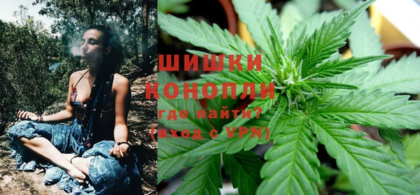 хмурый Белокуриха