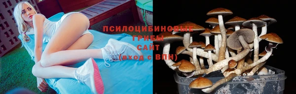 прущая мука Белоозёрский