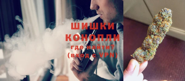 хмурый Белокуриха