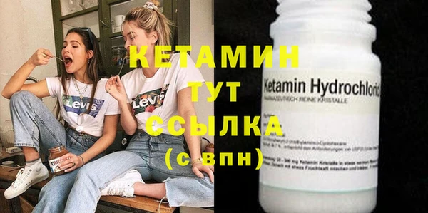 хмурый Белокуриха