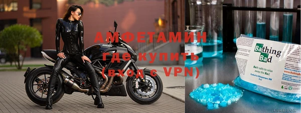 хмурый Белокуриха
