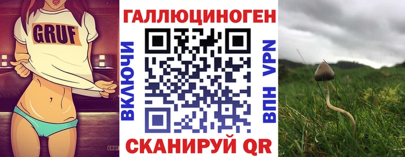 где купить наркоту  Валуйки  Галлюциногенные грибы GOLDEN TEACHER 