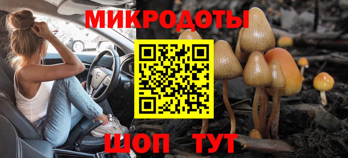 Псилоцибиновые грибы GOLDEN TEACHER Валуйки